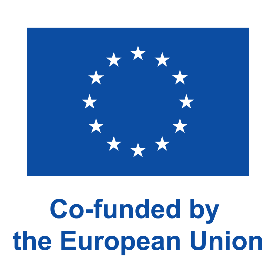Co-funded by European Union